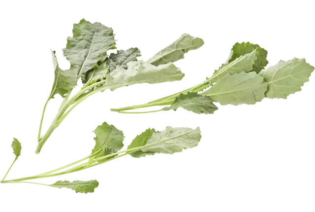 Mini palm cabbage 200gr piece